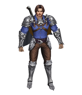 Sacred Paladin